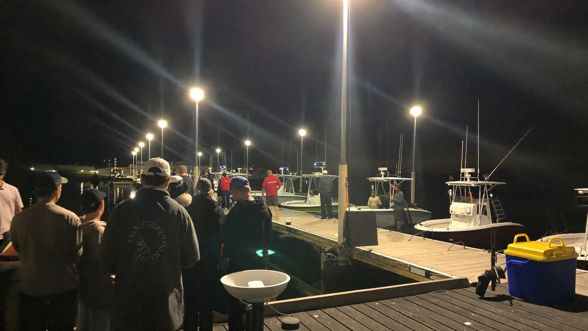 Nighttime catfish tournament staging on a lit marina dock in South Carolina