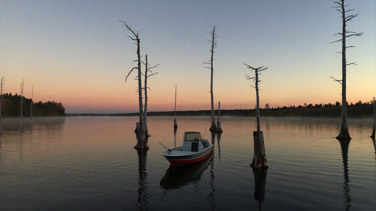 Fishing boat among cypress stumps at autumn sunrise on the Santee Cooper lakes