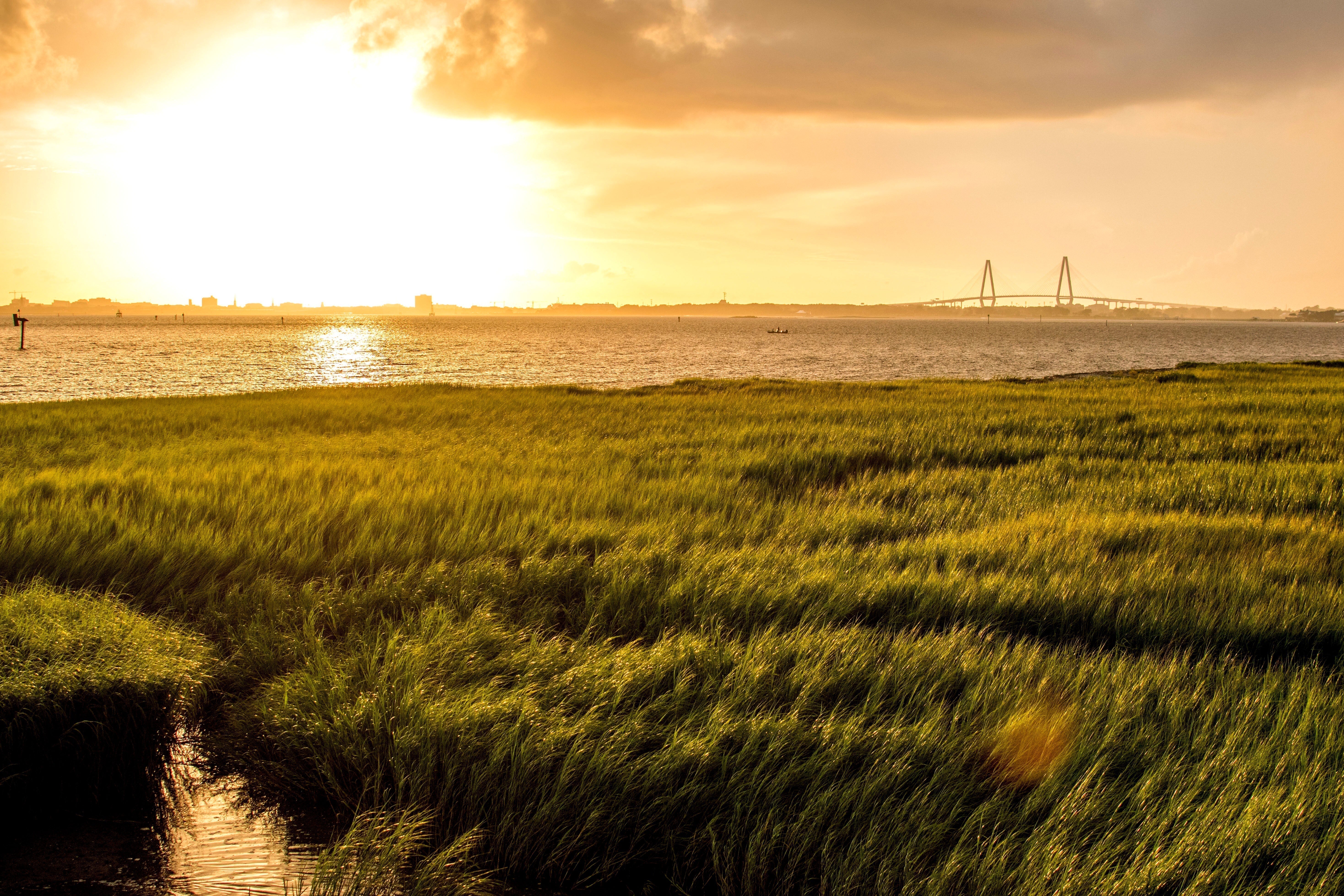 Charleston Harbor by Boat: Family Adventures After the Cooper River Cruise