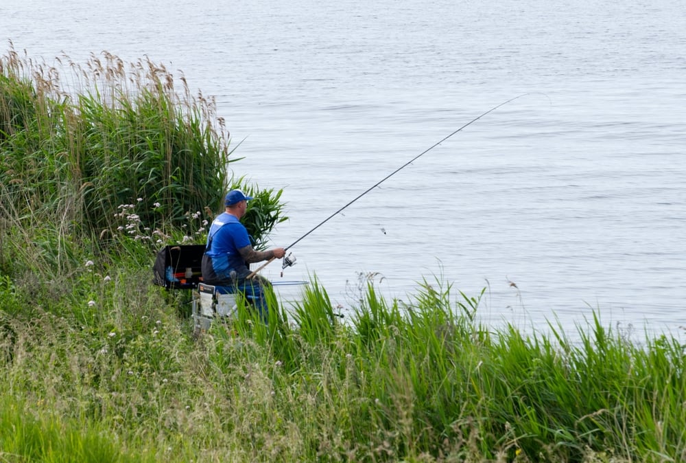 The Complete Lake Moultrie Catfishing Guide: Best Spots, Seasons & Techniques