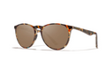 Cordina Breeze Shiny Coastal Tortoise Bronze Mirror Polarized