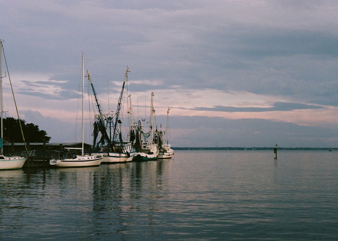 marina near charleston sc