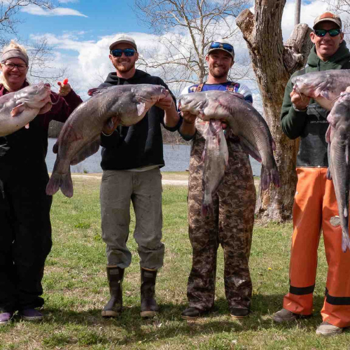 Five people outdoors by a lake, each holding a large fish they caught.