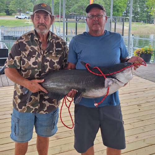 Two men stand on a wooden dock by a lake, proudly holding a large catfish with red ropes in its mouth.