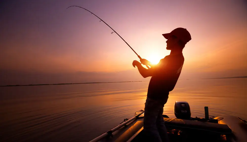mad katz rods