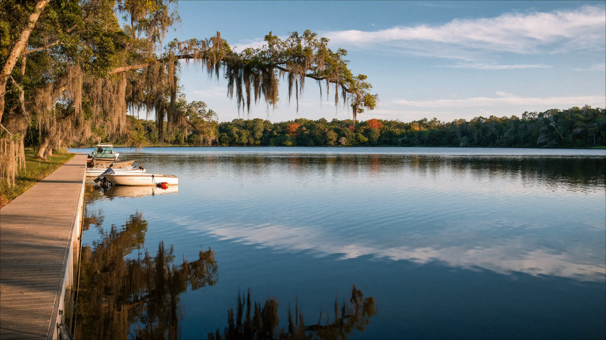 Golden hour over Lake Moultrie with a dock and live oaks draped in Spanish moss