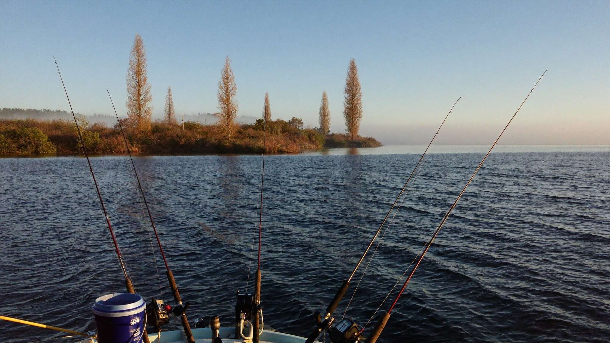 Spider rig crappie rods off the bow of a boat among flooded timber in autumn