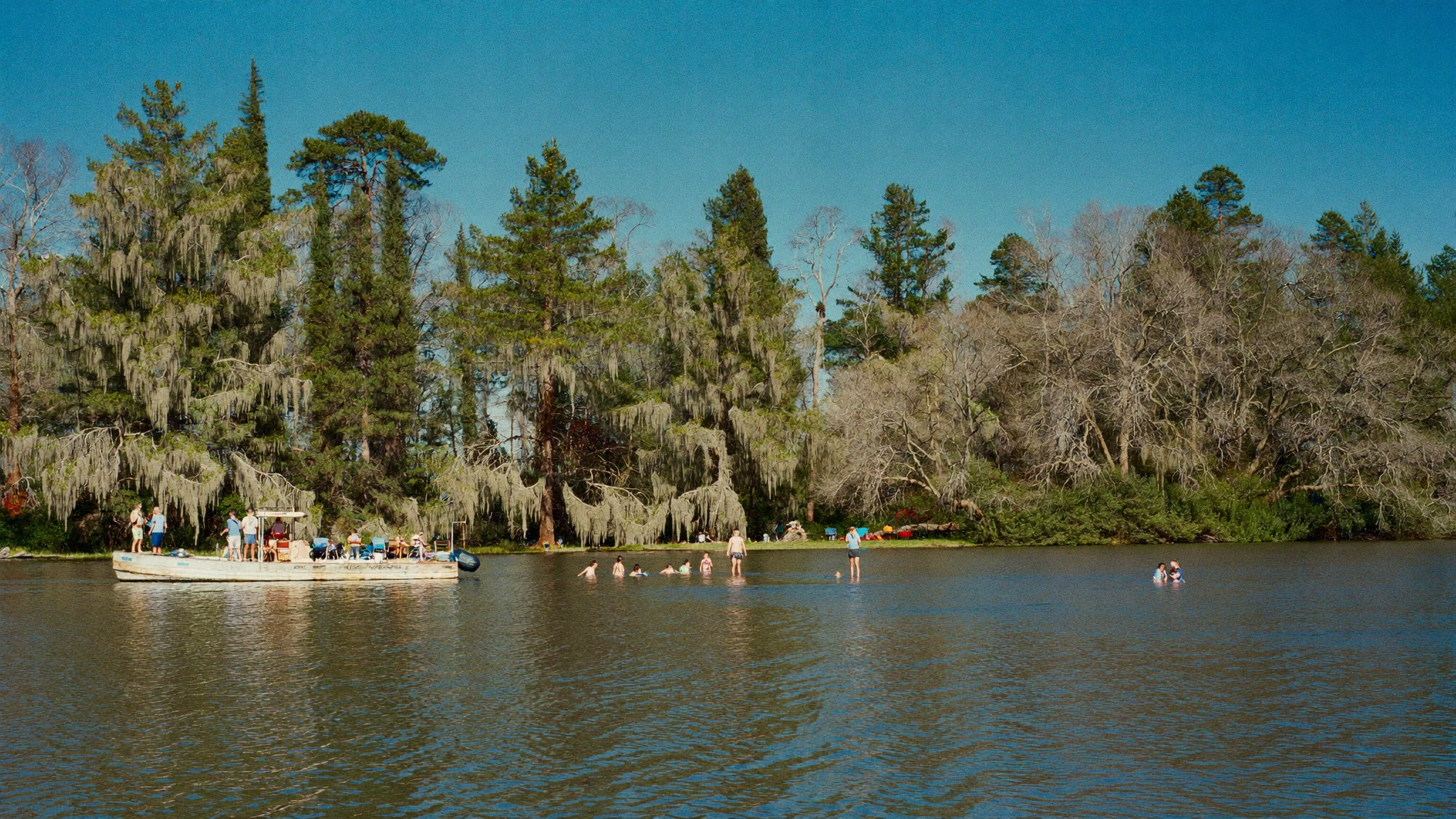 Pontoon boat and swimmers in a Lake Moultrie cove on a late summer holiday weekend