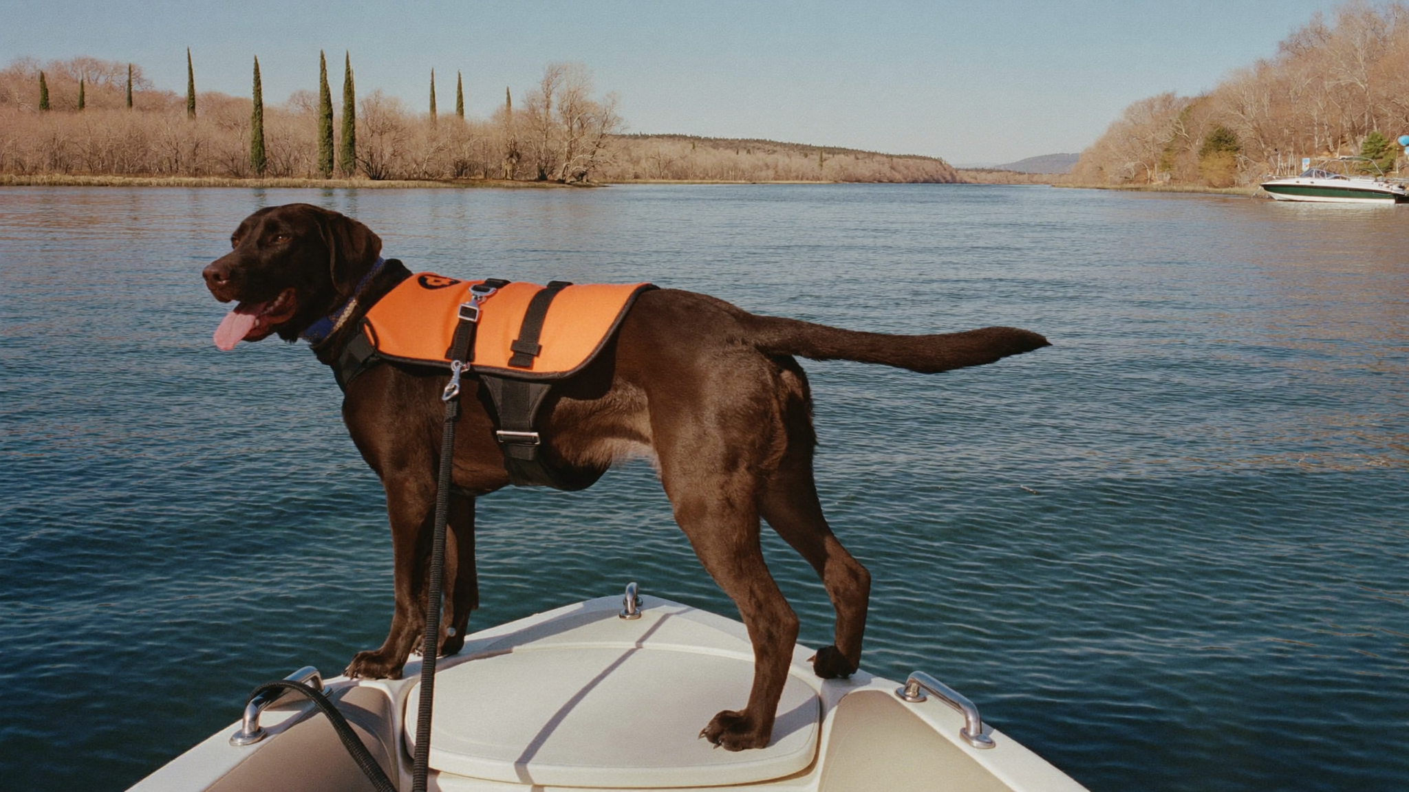 Labrador retriever in a life jacket on the bow of a pontoon boat on Lake Moultrie
