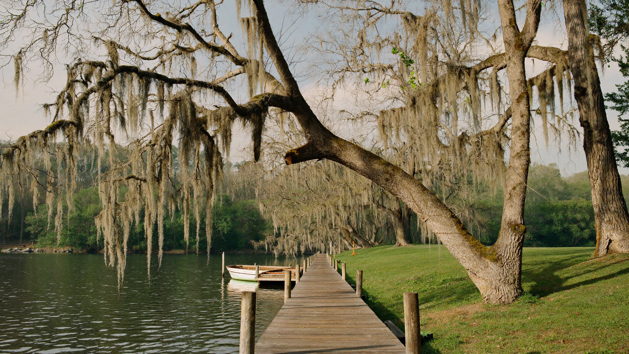 Wooden dock and moored boat under Spanish moss on Lake Moultrie near Moncks Corner, South Carolina